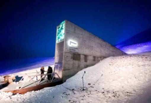 Χιλιάδες ποικιλίες προστέθηκαν στην κατεψυγμένη «κιβωτό των σπόρων» στην Αρκτική