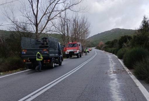 Έπεσαν δέντρα στην ΕΟ Σπάρτης-Τρίπολης λόγω ισχυρών ανέμων