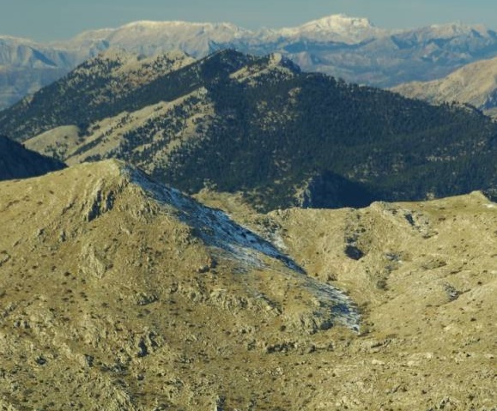 Ορειβασία στον Ολίγυρτο με τον ΕΟΣ Σπάρτης