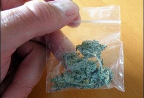  Σύλληψη για κάνναβη στη Σπάρτη