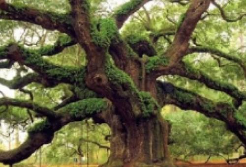 Θεατρικό παιχνίδι για παιδιά και πεζοπορία για μεγάλους