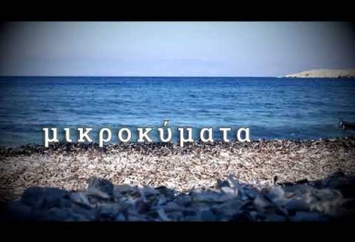 «Μικροκύματα»