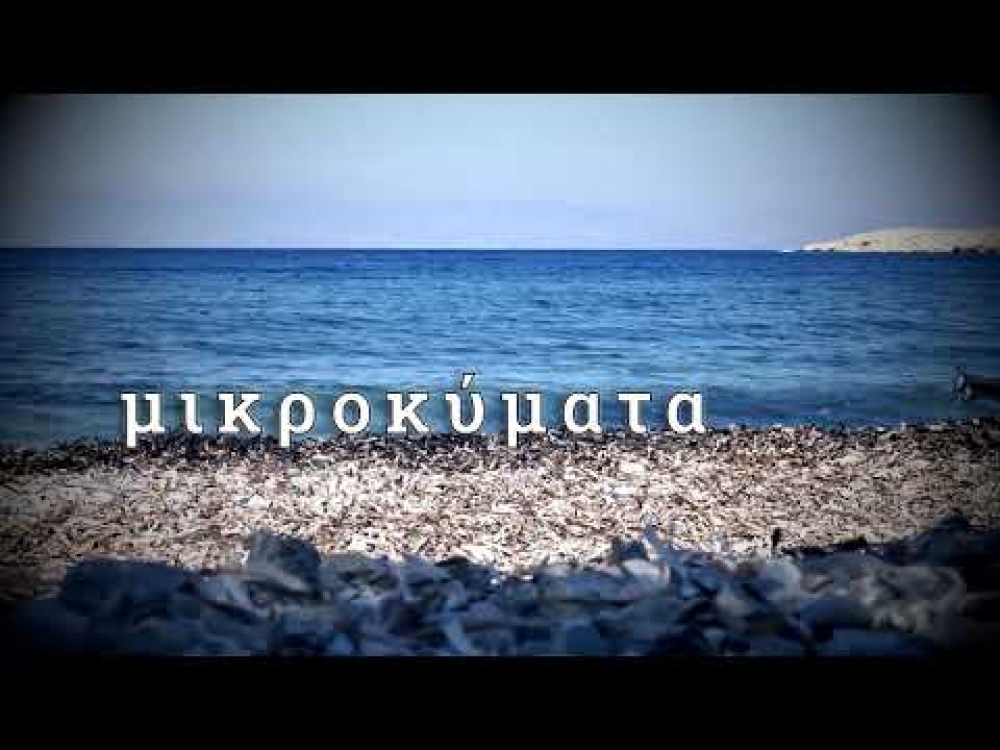 «Μικροκύματα»