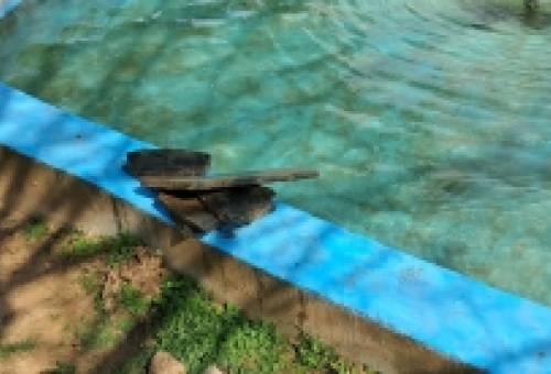 Φθορές στο Πάρκο ΟΤΕ στη Σπάρτη: Ξηλώθηκαν πλάκες και πετάχτηκαν στο σιντριβάνι