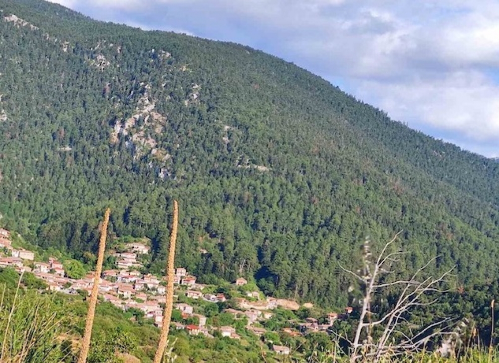 Αίσια έκβαση για πεζοπόρο που χάθηκε στον Πάρνωνα