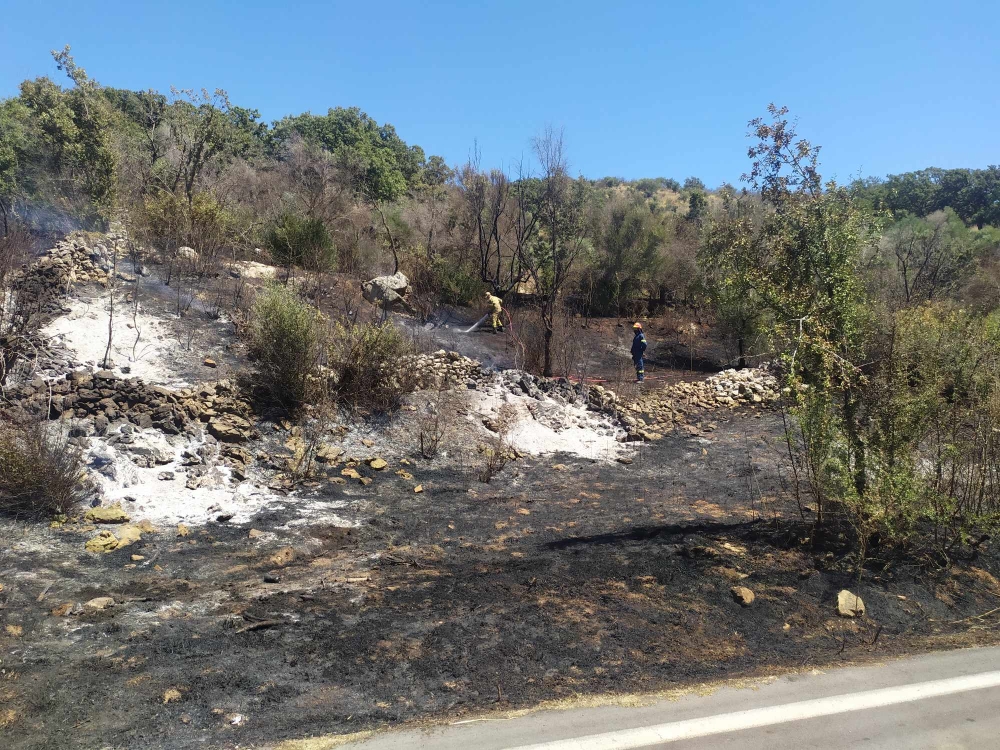 Πυρκαγιά στον Καρβελά Αν. Μάνης (ΦΩΤΟ)