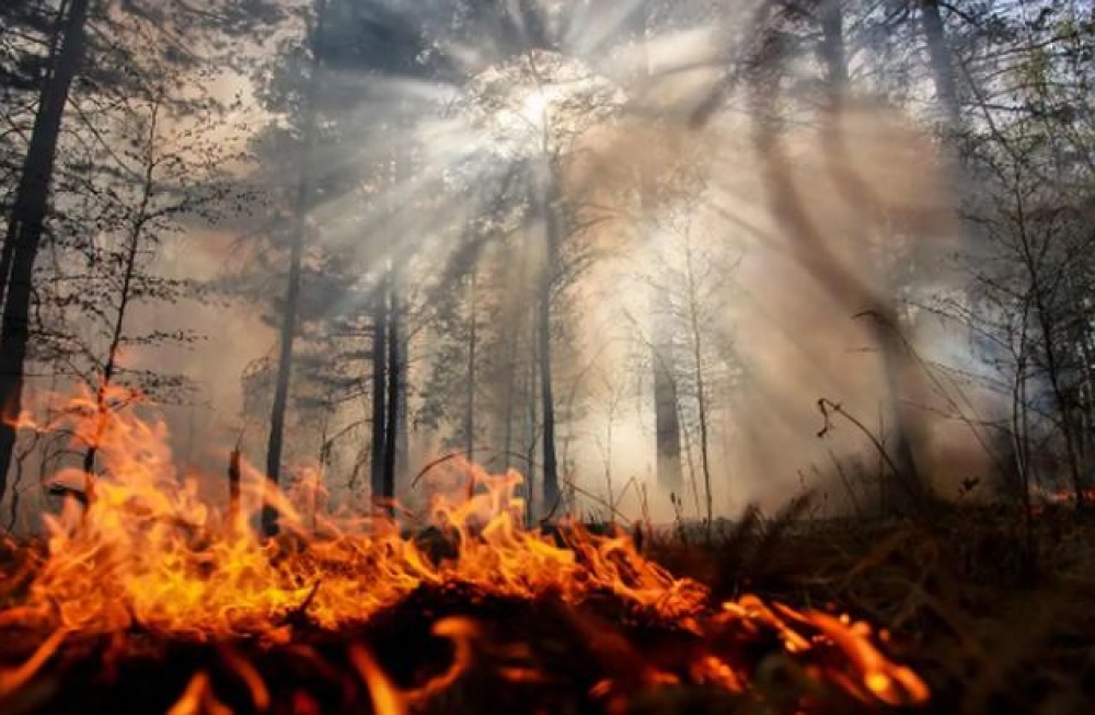 &Tau;&iota;&sigmaf; &upsilon;&psi;&eta;&lambda;ό&tau;&epsilon;&rho;&epsilon;&sigmaf; &epsilon;&kappa;&pi;&omicron;&mu;&pi;έ&sigmaf; CO2 &tau;&eta;&sigmaf; 20&epsilon;&tau;ί&alpha;&sigmaf; &pi;&rho;&omicron;&kappa;ά&lambda;&epsilon;&sigma;&alpha;&nu; &omicron;&iota; &pi;&upsilon;&rho;&kappa;&alpha;&gamma;&iota;έ&sigmaf; &sigma;&tau;&eta;&nu; &Alpha;&rho;&kappa;&tau;&iota;&kappa;ή