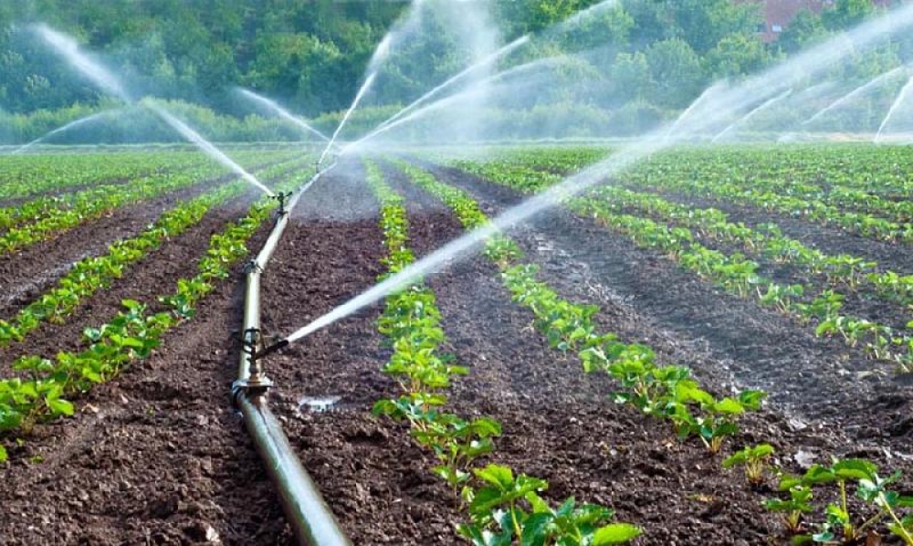 &Epsilon;&pi;&iota;&kappa;&alpha;&iota;&rho;&omicron;&pi;&omicron;ί&eta;&sigma;&eta; &delta;&iota;&kappa;&alpha;&iota;&omega;&mu;ά&tau;&omega;&nu; &chi;&rho;ή&sigma;&eta;&sigmaf; &alpha;&rho;&delta;&epsilon;&upsilon;&tau;&iota;&kappa;&omicron;ύ &delta;&iota;&kappa;&tau;ύ&omicron;&upsilon; &sigma;&tau;&omicron;&nu; &Delta;ή&mu;&omicron; &Sigma;&pi;ά&rho;&tau;&eta;&sigmaf;