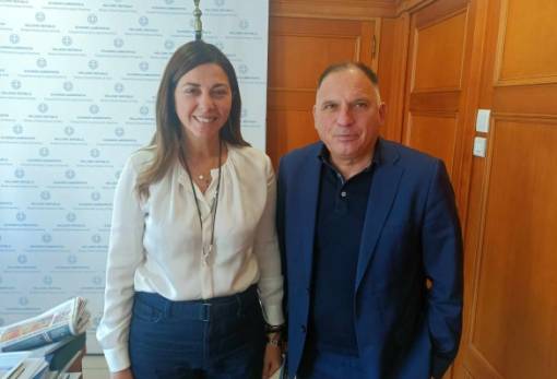 Με την υπουργό Σ. Ζαχαράκη για επιδόματα και δημογραφικό συναντήθηκε ο Ν. Κρητικός