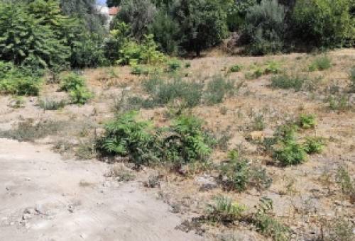 Το δικό σας σχόλιο: Πρόταση για τη δύσκολη εξίσωση του πάρκινγκ στο Γύθειο