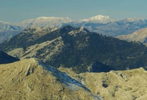 Εξόρμηση του ΕΟΣ Σπάρτης στον Ολίγυρτο