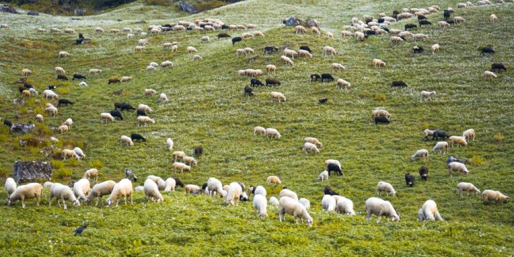 &Pi;&alpha;&rho;&alpha;&tau;&epsilon;ί&nu;&omicron;&nu;&tau;&alpha;&iota; &tau;&alpha; &mu;έ&tau;&rho;&alpha; &gamma;&iota;&alpha; &epsilon;&upsilon;&lambda;&omicron;&gamma;&iota;ά &kappa;&alpha;&iota; &pi;&alpha;&nu;ώ&lambda;&eta;