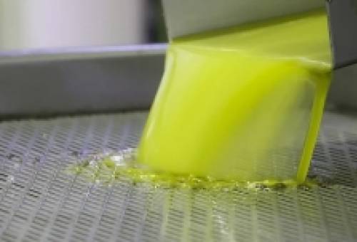 Η Λακωνία πρωταγωνιστεί στο αύριο του «πράσινου χρυσού»