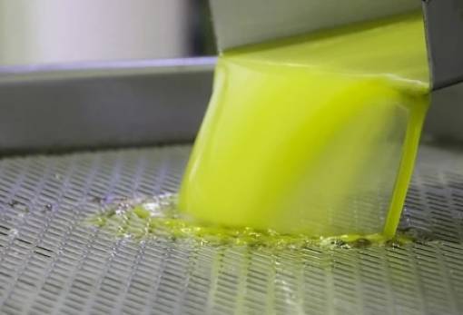 Η Λακωνία πρωταγωνιστεί στο αύριο του «πράσινου χρυσού»