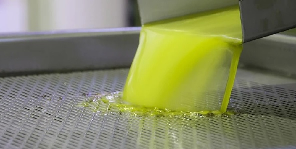 Η Λακωνία πρωταγωνιστεί στο αύριο του «πράσινου χρυσού»