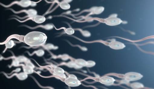 &Pi;&omicron;&iota;&alpha; &zeta;&eta;&tau;ή&mu;&alpha;&tau;&alpha; &lambda;ύ&nu;&epsilon;&iota; &omicron; &nu;έ&omicron;&sigmaf; &epsilon;&upsilon;&rho;&omega;&pi;&alpha;ϊ&kappa;ό&sigmaf; &kappa;&alpha;&nu;&omicron;&nu;&iota;&sigma;&mu;ό&sigmaf; SoHO &gamma;&iota;&alpha; &delta;&omega;&rho;&eta;&tau;έ&sigmaf; &sigma;&pi;έ&rho;&mu;&alpha;&tau;&omicron;&sigmaf; &kappa;&alpha;&iota; &omega;&alpha;&rho;ί&omega;&nu; &kappa;&alpha;&iota; &pi;&omicron;&iota;&alpha; ό&chi;&iota;