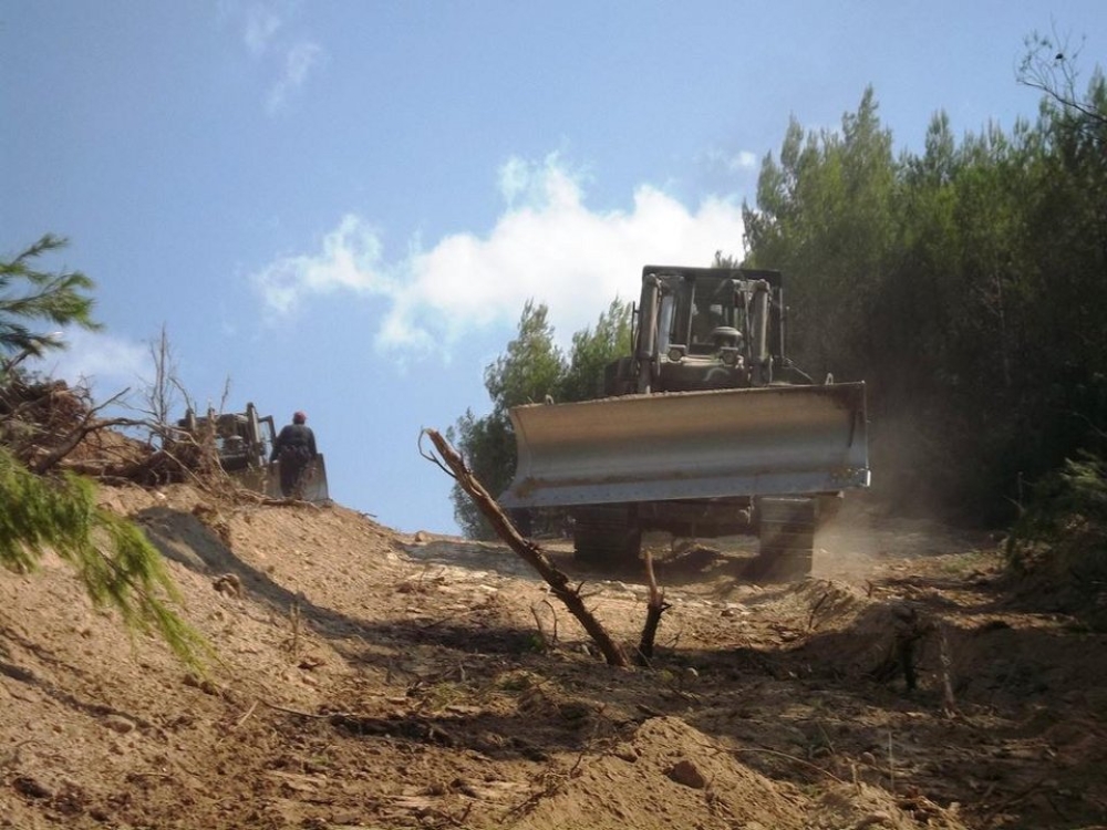 Πάει Πράσινο Ταμείο για αντιπυρικές ζώνες ο Δ. Σπάρτης