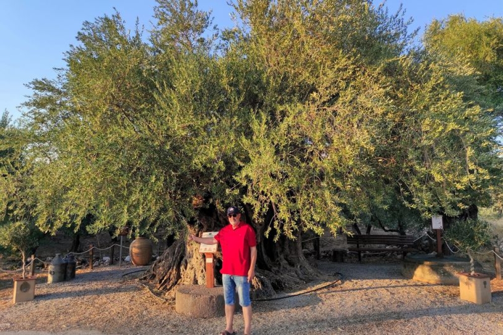 &Delta;&iota;&alpha;&tau;&eta;&rho;&eta;&tau;έ&omicron; &mu;&nu;&eta;&mu;&epsilon;ί&omicron; &tau;&eta;&sigmaf; &Phi;ύ&sigma;&eta;&sigmaf; &eta; &upsilon;&pi;&epsilon;&rho;&alpha;&iota;&omega;&nu;ό&beta;&iota;&alpha; &epsilon;&lambda;&iota;ά &tau;&eta;&sigmaf; &Alpha;&pi;&iota;&delta;&iota;ά&sigmaf;