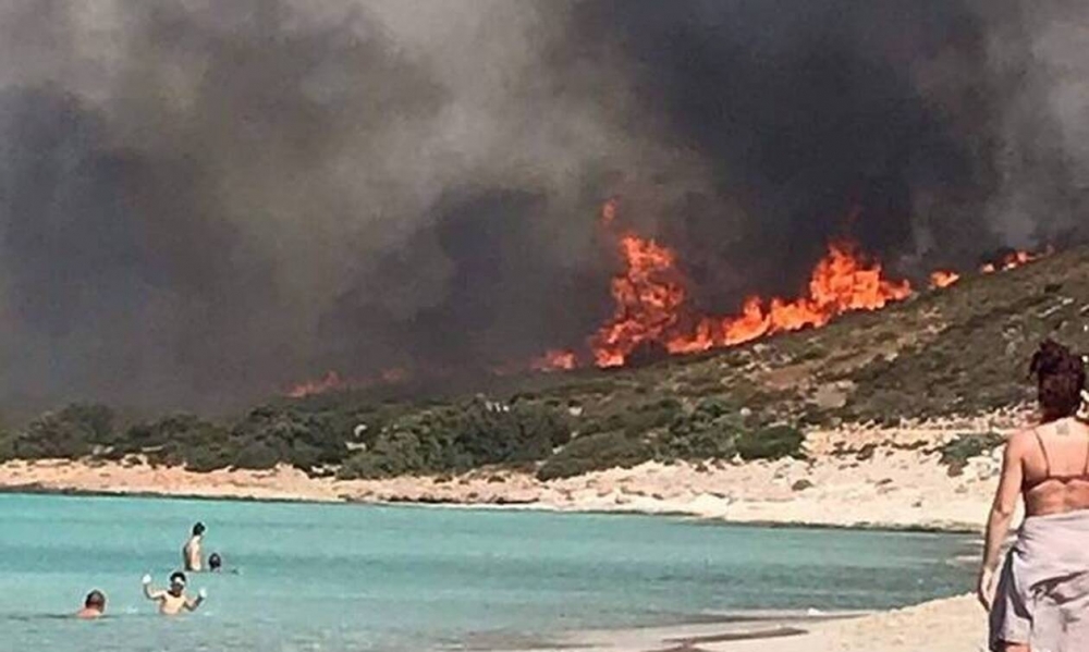 &laquo;&Sigma;&tau;&omicron;&pi;&raquo; &sigma;&tau;&omicron; &kappa;&upsilon;&nu;ή&gamma;&iota; &gamma;&iota;&alpha; &tau;&rho;ί&alpha; &chi;&rho;ό&nu;&iota;&alpha; &sigma;&tau;&eta;&nu; &Epsilon;&lambda;&alpha;&phi;ό&nu;&eta;&sigma;&omicron;