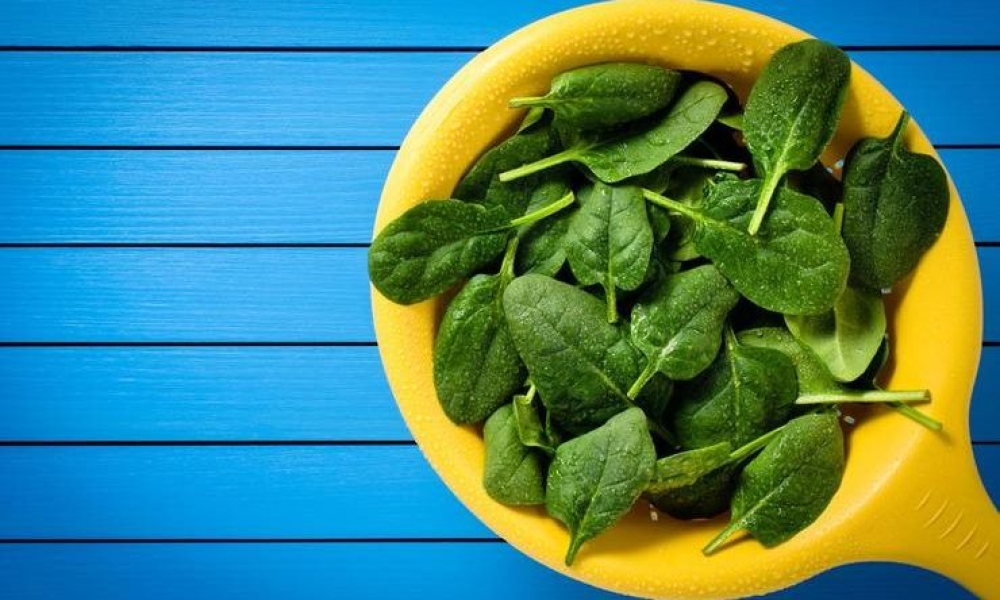 3 &tau;&rho;&omicron;&phi;έ&sigmaf; &pi;&omicron;&upsilon; έ&chi;&omicron;&upsilon;&nu; &pi;&epsilon;&rho;&iota;&sigma;&sigma;ό&tau;&epsilon;&rho;&omicron; &sigma;ί&delta;&eta;&rho;&omicron; &alpha;&pi;ό &tau;&omicron; &kappa;&rho;έ&alpha;&sigmaf;