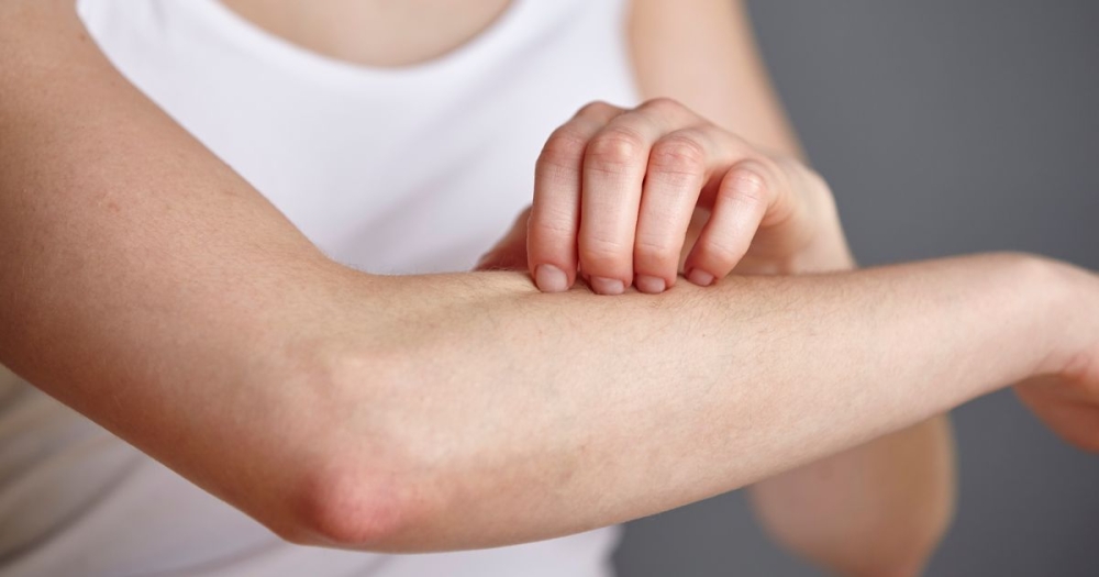 &Epsilon;&nu;&eta;&mu;έ&rho;&omega;&sigma;&eta; &sigma;&chi;&omicron;&lambda;&iota;&kappa;ώ&nu; &mu;&omicron;&nu;ά&delta;&omega;&nu; &Delta;ή&mu;&omicron;&upsilon; &Sigma;&pi;ά&rho;&tau;&eta;&sigmaf; &gamma;&iota;&alpha; &tau;&omicron; &pi;&alpha;&rho;ά&sigma;&iota;&tau;&omicron; &tau;&eta;&sigmaf; &psi;ώ&rho;&alpha;&sigmaf;