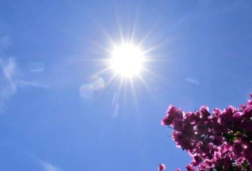 Copernicus: Ο φετινός Ιανουάριος ο θερμότερος που έχει ζήσει ο πλανήτης