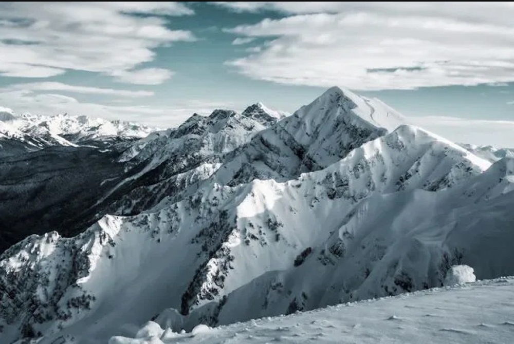 &Epsilon;&lambda;&beta;&epsilon;&tau;ί&alpha; &kappa;&alpha;&iota; &Iota;&tau;&alpha;&lambda;ί&alpha; &epsilon;&pi;&alpha;&nu;&alpha;&chi;&alpha;&rho;ά&sigma;&sigma;&omicron;&upsilon;&nu; &sigma;ύ&nu;&omicron;&rho;&alpha; &epsilon;&xi;&alpha;&iota;&tau;ί&alpha;&sigmaf; &tau;&omega;&nu; &pi;&alpha;&gamma;&epsilon;&tau;ώ&nu;&omega;&nu; &pi;&omicron;&upsilon; &lambda;&iota;ώ&nu;&omicron;&upsilon;&nu;