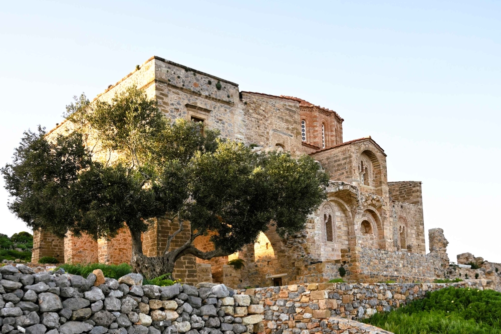 Η μνημειακή ελιά της Μονεμβασίας αποκτά επίσημη σήμανση