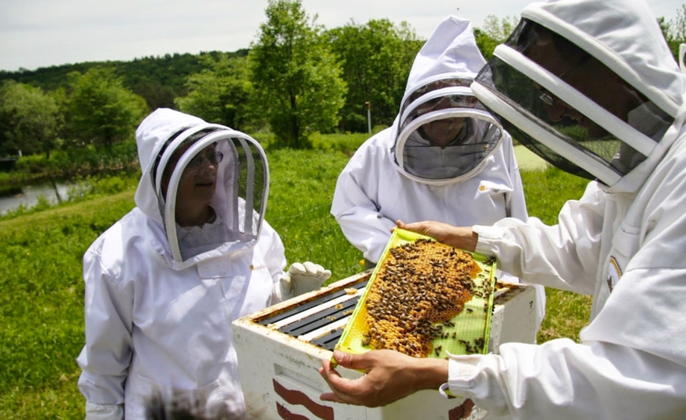 &Delta;ή&lambda;&omega;&sigma;&eta; &kappa;&alpha;&tau;&epsilon;&chi;&omicron;&mu;έ&nu;&omega;&nu; &kappa;&upsilon;&psi;&epsilon;&lambda;ώ&nu; έ&tau;&omicron;&upsilon;&sigmaf; 2023