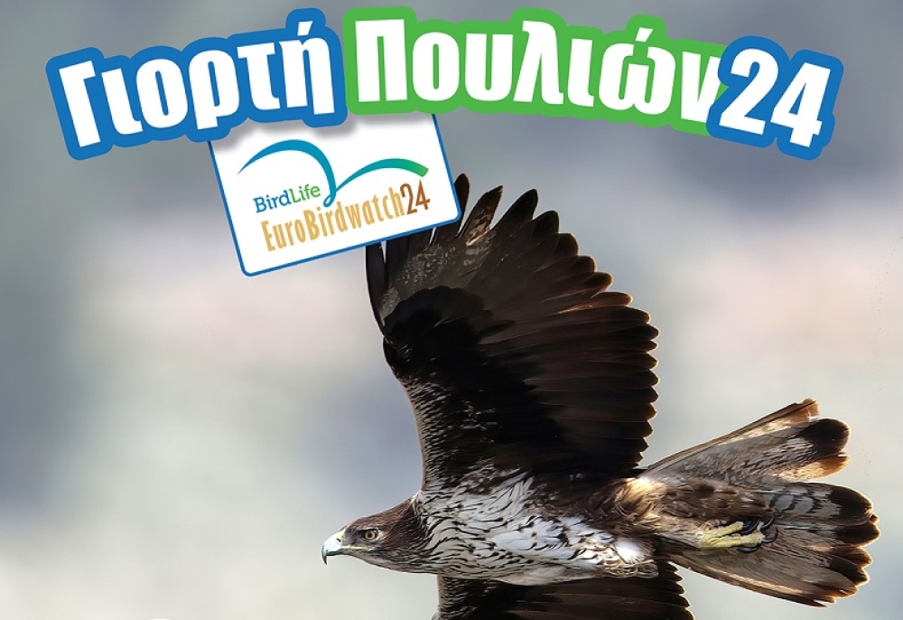 &Epsilon;&upsilon;&rho;&omega;&pi;&alpha;ϊ&kappa;ή &Gamma;&iota;&omicron;&rho;&tau;ή &tau;&omega;&nu; &Pi;&omicron;&upsilon;&lambda;&iota;ώ&nu; &mu;&epsilon; &delta;&rho;ά&sigma;&epsilon;&iota;&sigmaf; &sigma;&tau;&eta; &Lambda;&alpha;&kappa;&omega;&nu;ί&alpha;