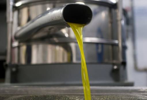 Στις παρυφές των 5 ευρώ τον Μάρτιο  οι τιμές του ελαιολάδου στη Λακωνία