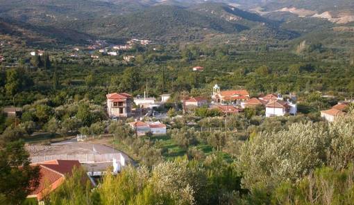 &laquo;&Theta;&epsilon;&rho;&iota;&nu;έ&sigmaf; &beta;&rho;&alpha;&delta;&iota;έ&sigmaf;&raquo; &mu;&epsilon; &sigma;&tau;&omicron;ί&chi;&eta;&mu;&alpha; &epsilon;&lambda;&pi;ί&delta;&alpha;&sigmaf; &kappa;&alpha;&iota; &kappa;&omicron;&iota;&nu;&omega;&nu;&iota;&kappa;ή&sigmaf; &sigma;&upsilon;&nu;&omicron;&chi;ή&sigmaf; &sigma;&tau;&omicron;&nu; &Kappa;&alpha;&rho;&alpha;&beta;ά