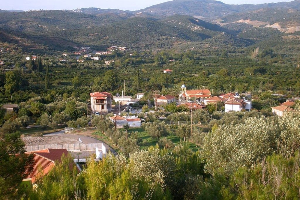 &laquo;&Theta;&epsilon;&rho;&iota;&nu;έ&sigmaf; &beta;&rho;&alpha;&delta;&iota;έ&sigmaf;&raquo; &mu;&epsilon; &sigma;&tau;&omicron;ί&chi;&eta;&mu;&alpha; &epsilon;&lambda;&pi;ί&delta;&alpha;&sigmaf; &kappa;&alpha;&iota; &kappa;&omicron;&iota;&nu;&omega;&nu;&iota;&kappa;ή&sigmaf; &sigma;&upsilon;&nu;&omicron;&chi;ή&sigmaf; &sigma;&tau;&omicron;&nu; &Kappa;&alpha;&rho;&alpha;&beta;ά