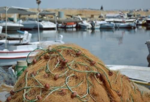 Αλλάζει ο «χάρτης» σε αλιεία και αγροτικό τομέα