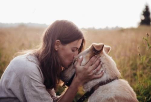 Το δικό σας σχόλιο: Απάντηση περί κυνοφιλίας