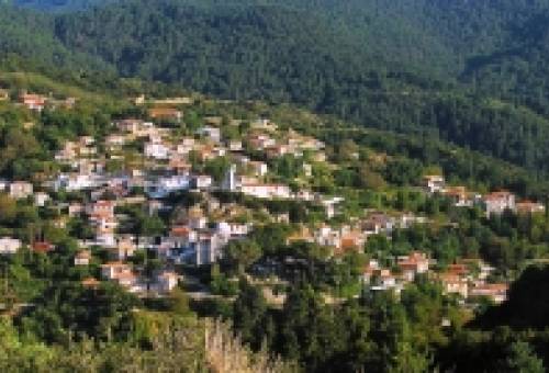 «Το καλοκαίρι που ονειρεύεσαι» στη Βαμβακού