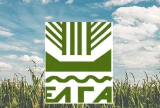 Πορίσματα ΕΛΓΑ για τις ζημιές από ανεμοθύελλα στο Γεράκι