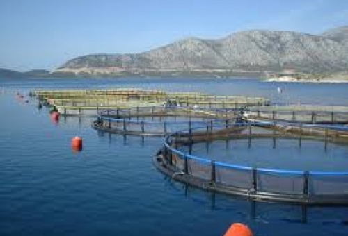 Επιχορήγηση επενδύσεων για υδατοκαλλιέργειες και μεταποίηση