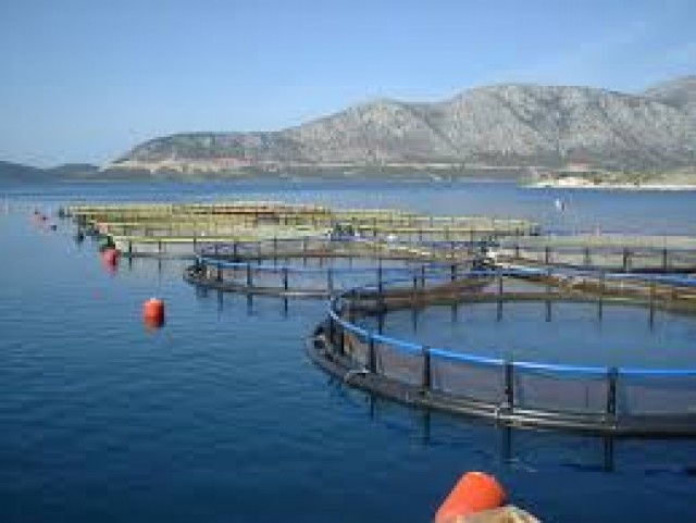 &Epsilon;&pi;&iota;&chi;&omicron;&rho;ή&gamma;&eta;&sigma;&eta; &epsilon;&pi;&epsilon;&nu;&delta;ύ&sigma;&epsilon;&omega;&nu; &gamma;&iota;&alpha; &upsilon;&delta;&alpha;&tau;&omicron;&kappa;&alpha;&lambda;&lambda;&iota;έ&rho;&gamma;&epsilon;&iota;&epsilon;&sigmaf; &kappa;&alpha;&iota; &mu;&epsilon;&tau;&alpha;&pi;&omicron;ί&eta;&sigma;&eta;