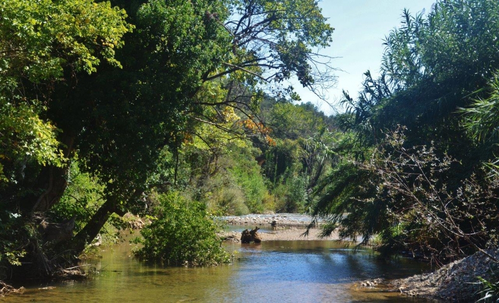 Η πρώτη συμβιωτική κοινότητα στην Ελλάδα θα δημιουργηθεί στη Λακωνία