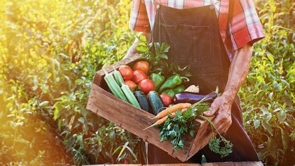 &Epsilon;&upsilon;&rho;&omega;&pi;&alpha;ϊ&kappa;ά &Beta;&rho;&alpha;&beta;&epsilon;ί&alpha; &Beta;&iota;&omicron;&lambda;&omicron;&gamma;&iota;&kappa;ή&sigmaf; &Gamma;&epsilon;&omega;&rho;&gamma;ί&alpha;&sigmaf;: &Mu;έ&chi;&rho;&iota; &tau;&iota;&sigmaf; 12 &Mu;&alpha;ΐ&omicron;&upsilon; &omicron;&iota; &alpha;&iota;&tau;ή&sigma;&epsilon;&iota;&sigmaf;