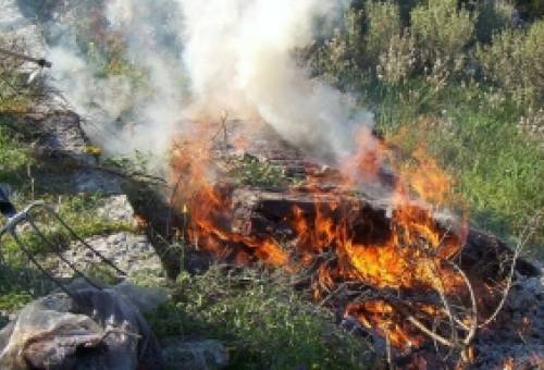 Μέτρα που πρέπει να τηρούνται για την καύση υπολειμμάτων καλλιεργειών