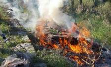 Μέτρα που πρέπει να τηρούνται για την καύση υπολειμμάτων καλλιεργειών