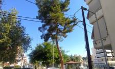 &Omicron; &epsilon;&xi;&omega;&rho;&alpha;ϊ&sigma;&mu;ό&sigmaf; &tau;&eta;&sigmaf; &Pi;&lambda;&alpha;&tau;&epsilon;ί&alpha;&sigmaf; &Nu;. &Kappa;ό&sigma;&mu;&omicron;&upsilon; &kappa;&alpha;&iota; έ&nu;&alpha;&sigmaf; &epsilon;&lambda;&lambda;&omicron;&chi;&epsilon;ύ&omega;&nu; &kappa;ί&nu;&delta;&upsilon;&nu;&omicron;&sigmaf;