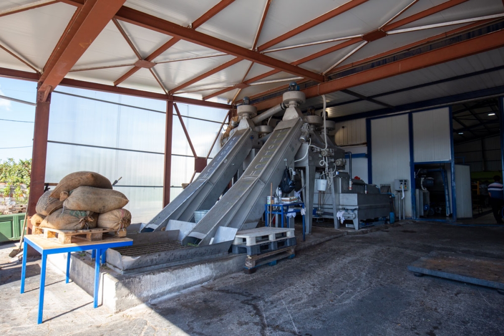 &laquo;Έ&nu;&epsilon;&sigma;&eta;&raquo; &rho;&epsilon;&upsilon;&sigma;&tau;ό&tau;&eta;&tau;&alpha;&sigmaf; &sigma;&tau;&eta; &lambda;&alpha;&kappa;&omega;&nu;&iota;&kappa;ή &epsilon;&lambda;&alpha;&iota;&omicron;&upsilon;&rho;&gamma;ί&alpha;