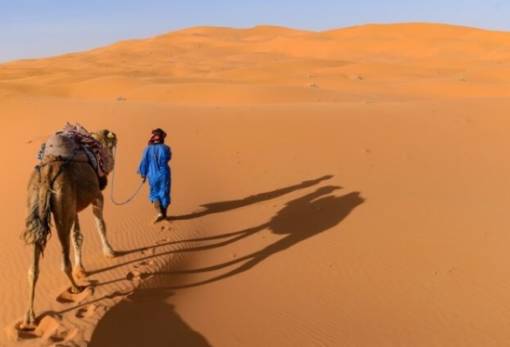 Αρχαίο DNA δείχνει το πράσινο παρελθόν της ερήμου Σαχάρα