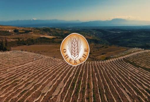 ΟΠΕΚΕΠΕ: Δεσμεύσεις για βελτίωση της εικόνας και της αξιοπιστίας του Οργανισμού