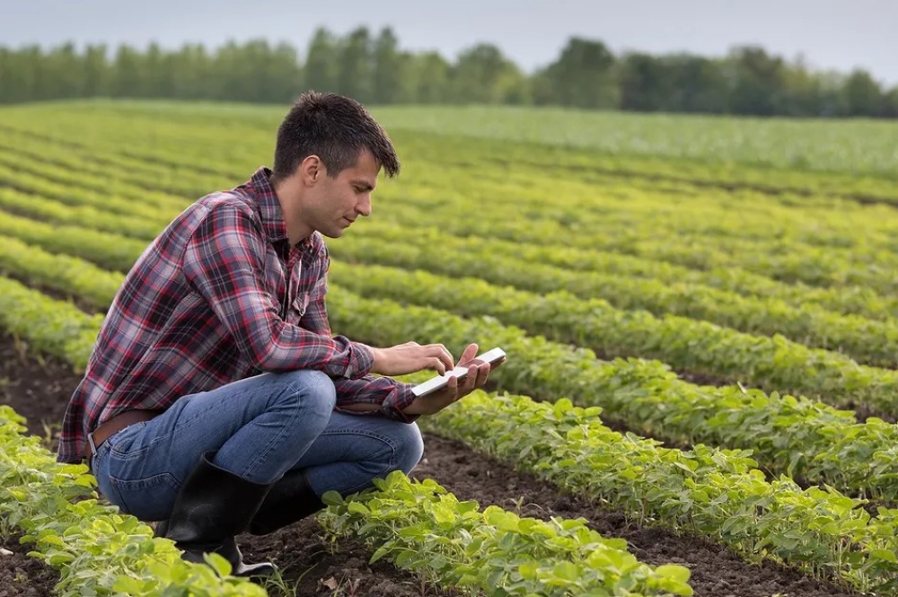 &Sigma;&tau;&rho;&alpha;&tau;&eta;&gamma;&iota;&kappa;ή &laquo;&alpha;&nu;ά&sigma;&alpha;&raquo; &alpha;&pi;ό &tau;&eta;&nu; &Epsilon;.&Epsilon;.: &Pi;&alpha;&kappa;έ&tau;&omicron; έ&omega;&sigmaf; 300.000&euro; &gamma;&iota;&alpha; &nu;έ&omicron;&upsilon;&sigmaf; &alpha;&gamma;&rho;ό&tau;&epsilon;&sigmaf;