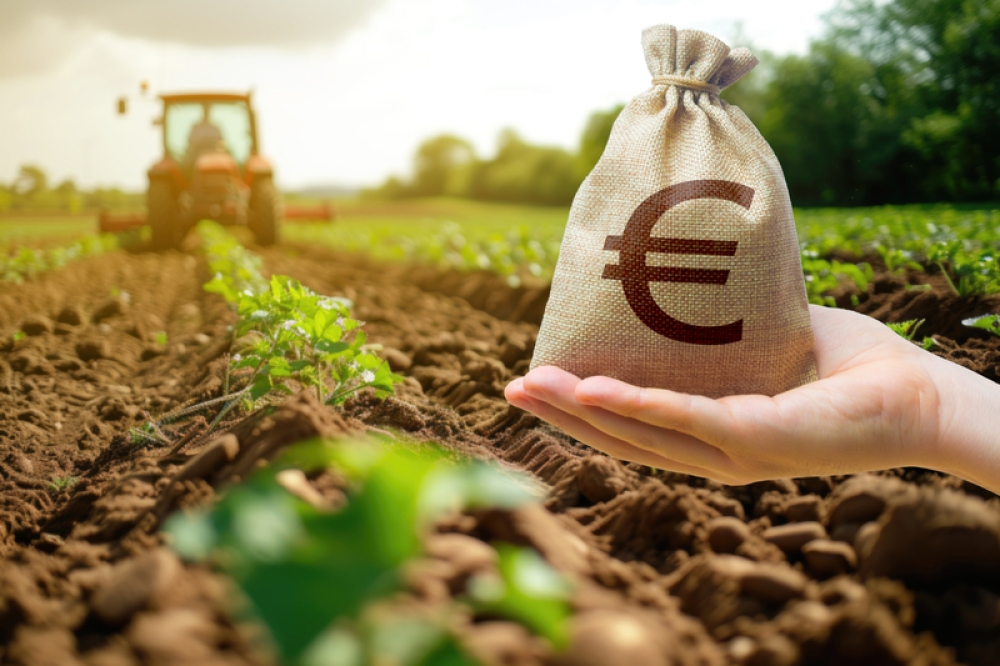 &Rho;ύ&theta;&mu;&iota;&sigma;&eta; &gamma;&iota;&alpha; &tau;&alpha; &kappa;ό&kappa;&kappa;&iota;&nu;&alpha; &alpha;&gamma;&rho;&omicron;&tau;&iota;&kappa;ά &delta;ά&nu;&epsilon;&iota;&alpha; &pi;&rho;&omicron;&alpha;&nu;ή&gamma;&gamma;&epsilon;&iota;&lambda;&epsilon; &gamma;&iota;&alpha; &tau;&iota;&sigmaf; &alpha;&rho;&chi;έ&sigmaf; &tau;&omicron;&upsilon; 2025 &omicron; &Kappa;. &Tau;&sigma;&iota;ά&rho;&alpha;&sigmaf;