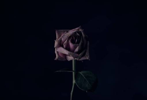 Δράμα για μία ακόμα φορά στη Σπάρτη: 28χρονος αυτοκτόνησε μέσα στο σπίτι του